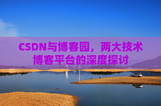 CSDN与博客园，两大技术博客平台的深度探讨
